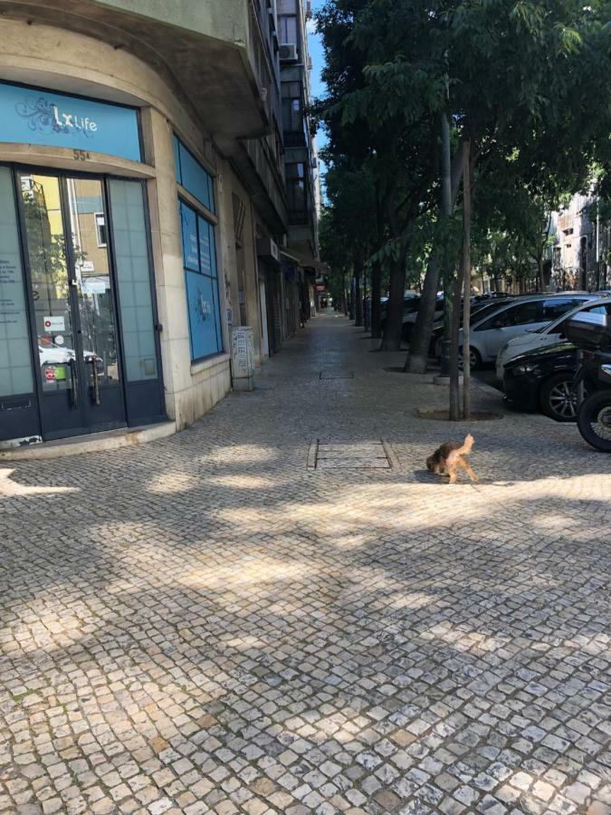 99 Flowers Flat Lisboa المظهر الخارجي الصورة
